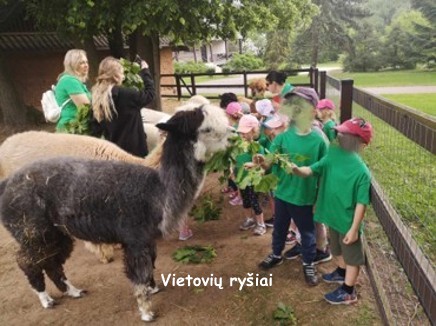 Paveikslėlis23